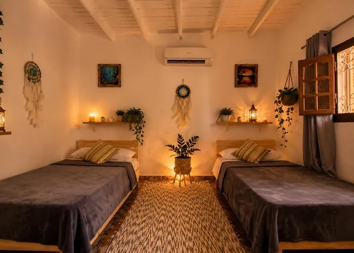Cozy With Private Courtyard